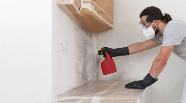 Professional Mold Remediation technician working in Platteville, CO